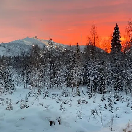 Hutikka Dom wakacyjny Ruka